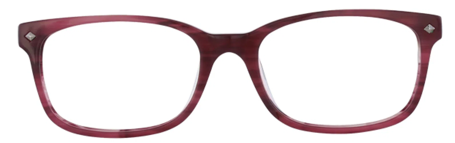 Via Spiga VSOlga Eyeglasses - Tort/lt. Blue - view 8